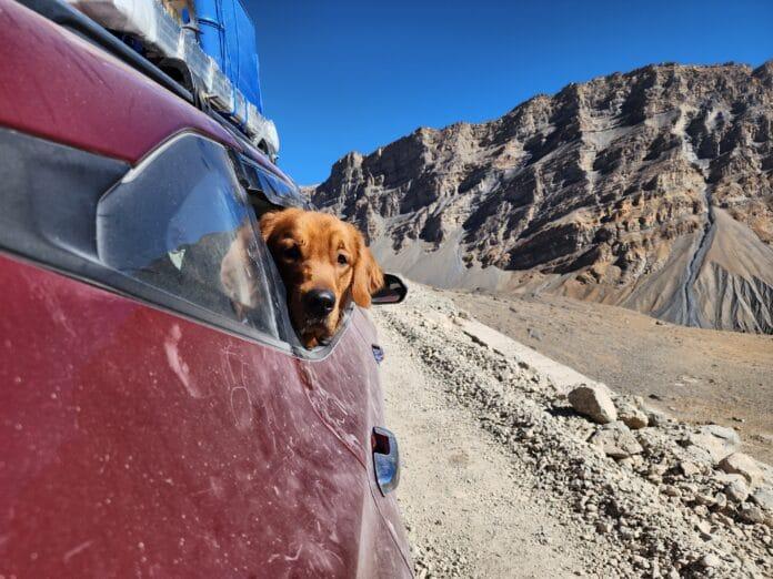 Shero looking out of car